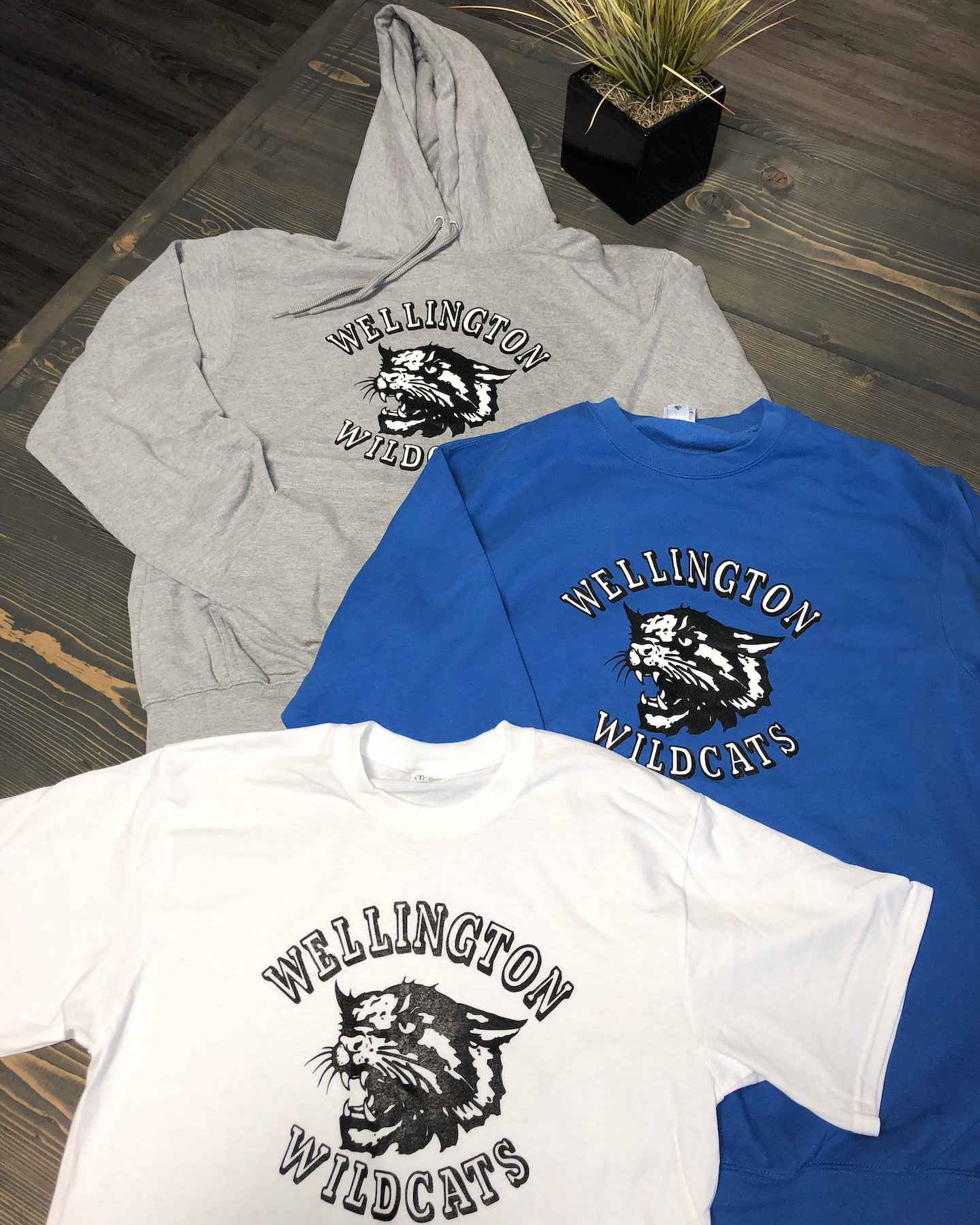 winnipeg-school-merch-swag-cats